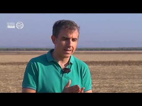 Fotograma del vídeo: Life Agromitiga, un proyecto para impulsar la agricultura de conservación : [Tierra y mar, Canal Sur]