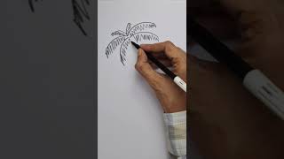 How to draw a coconut tree easy #drawing