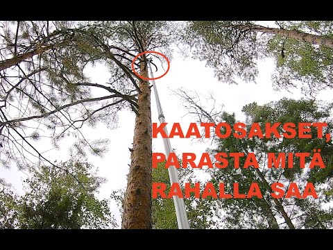 Kyllä, tämä on metsurin paras työkalu. I Really Love This Tool