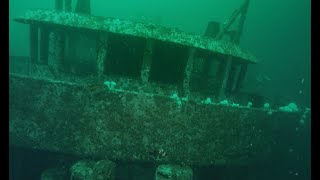 Nanaimo Dive Trip Oct   Part 2
