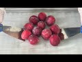 Plum Ice Cream Rolls Ice Cream Rolls
