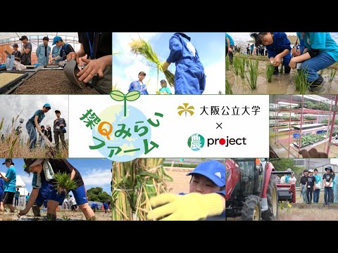 公共経営学科 「探Qみらいファーム」活動の様子