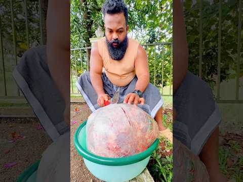Wedding style beef curry recipe #food #kerala #beef