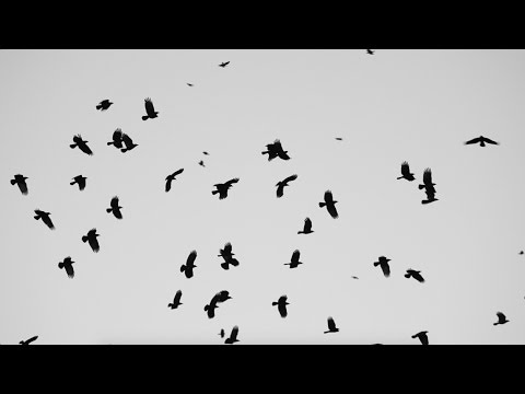 Video thumbnail for Follow Me