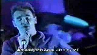 Morrissey - 04 Pregnant For The Last Time (Hammersmith 91)