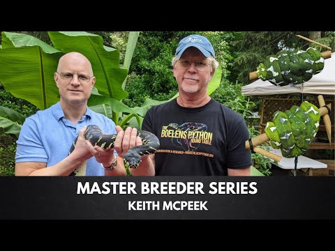 Emerald Tree Boa Care  (Everything You Need To Know!) Boelens Pythons w/ Master Breeder Keith McPeek