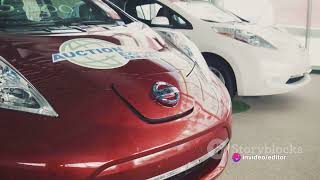 Top 5 Titans of the Electric Car Market