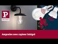 Paulmann Réflecteur LED GU10 230 V avec capteurs intégrés Paulmann Réflecteur LED GU10 230 V avec capteurs intégrés