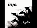 Iris - Stop Breaking Your Own Heart