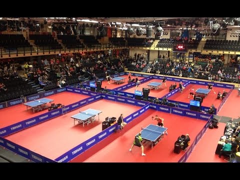 TMC: Foto & Video Collage - Full version: Eye of the Tiger.