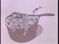 Schoolhouse Rock The Great American Melting Pot