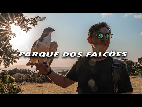 SERGIPE | CONHEÇA O PARQUE DOS FALCÕES | ITABAIANA | VLOG EP.03