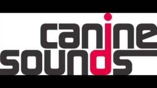 Richard Dinsdale Future caninesounds Remix Spinout Records