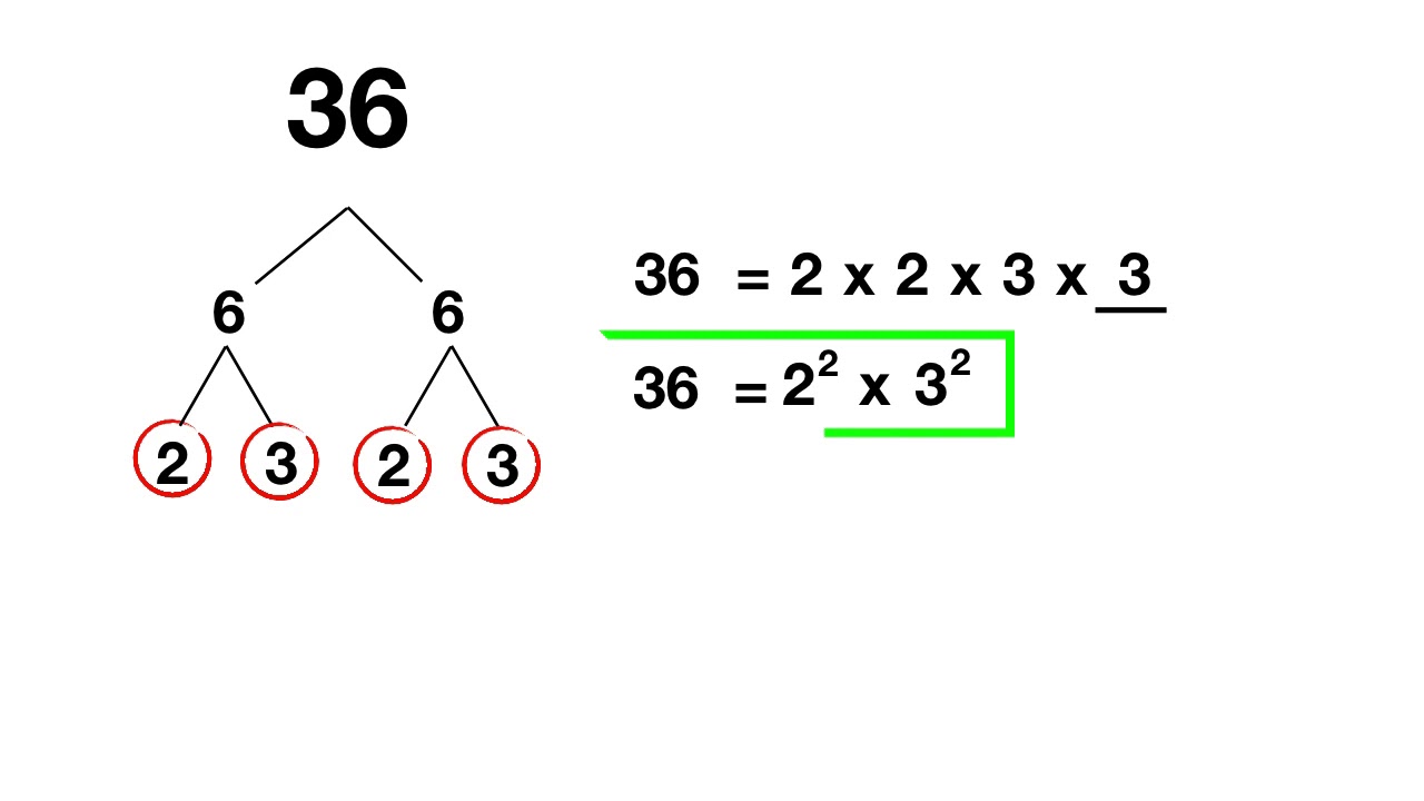 Prime Factorization with Exponents