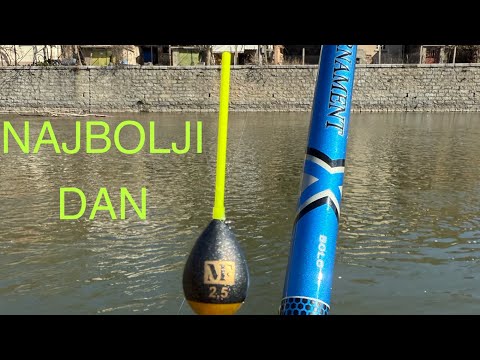 Pecanje SKOBALJA STRUMA - DAIWA -Ribolov na PLOVAK