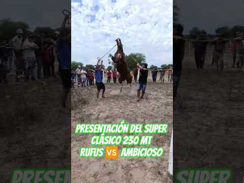 PRESENTACIÓN DE LOS 2 EJEMPLARES RUFUS 🆚 AMBICIOSO HÍPICO CONCEPCIÓN DEL BERMEJO CHACO
