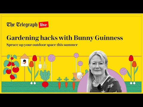 Gardening Hacks 101: Summer pruning, sowing and watering with Bunny Guinness