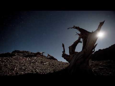 S.A.T  - Awakening (Angelo-K Remix)