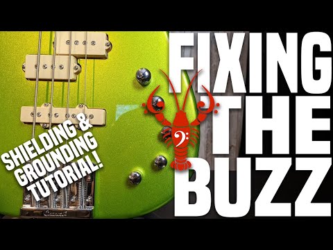 Charvel San Dimas ProMod IV - Buzz Off! How to fix the noise issues! - LowEndLobster Fresh Look