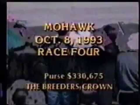 1993 Mohawk Raceway SWING BACK Breeders Crown Open Mare Pace Kelly Sheppard
