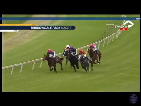 2019.01.27 Guineas Trial (ZIM) - Opaque