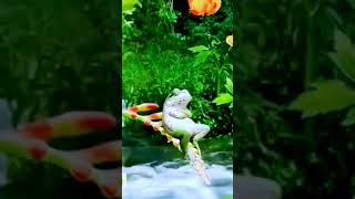 Download lagu Doku ges teu boga gajihan lila nyien rieut kana sirah mp3