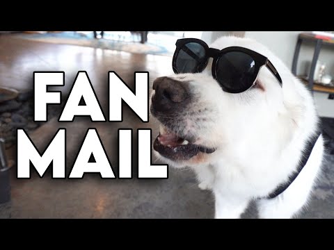 MASSIVE FAN MAIL OPENING - Super Cooper Sunday 321
