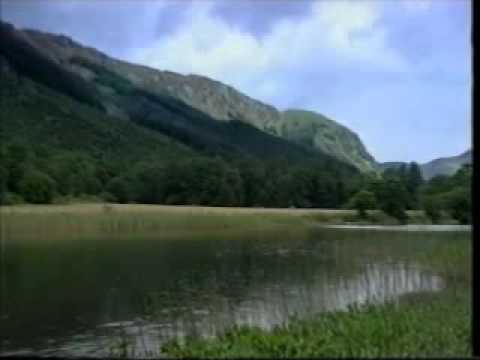 The Scottish Fiddle Orchestra - The Gay Gordons 1