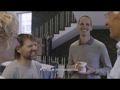 Spinoza laureate 2019 - Ronald Hanson