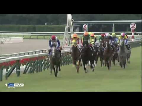 2016.10.23 Kikuka Sho (Japanese St. Leger) - Satono Diamond