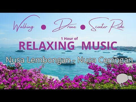 Thumbnail for 1 Hour Chill Music while cruising around Nusa Lembongan, Nusa Ceningan Bali 2025