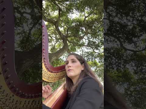 Promotional video thumbnail 2 for Harp by Anna