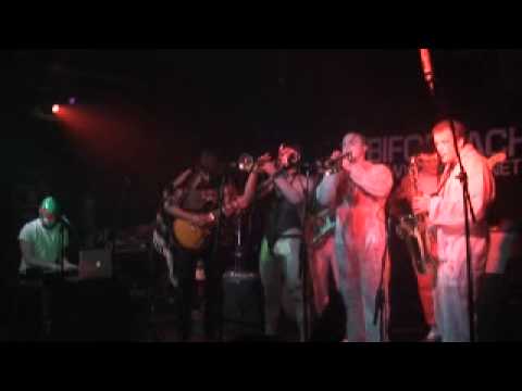 Derwyddon Dr Gonzo - 'Raptil' yn fyw o Clwb Ifor Bach