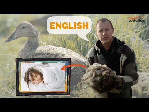 Eiderdown duvets - from the rough nature of island straight into your bedroom