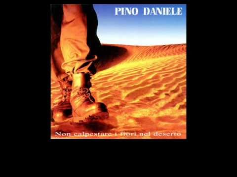 Pino Daniele - 'O cammello 'nnammurato