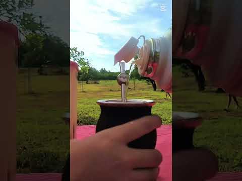 #aguaray #musica #salta #Argentina#Aguaray