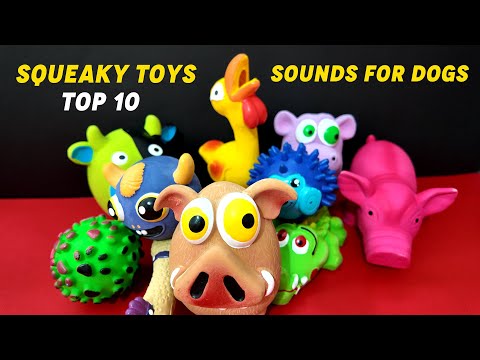 Dog Squeaky Toys: 10 Different Squeaky Toy Sounds Dogs Love 🐥