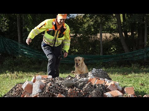 Cani da soccorso Protezione Civile Squadra Feltrina Cinofili da Soccorso Testimonial Dogbauer
