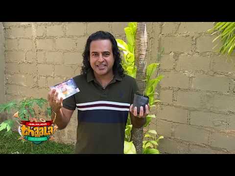 #MARIANS #THAALA #LIVEINCONCERT