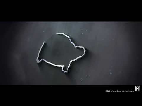 Kendall Ficklin video.