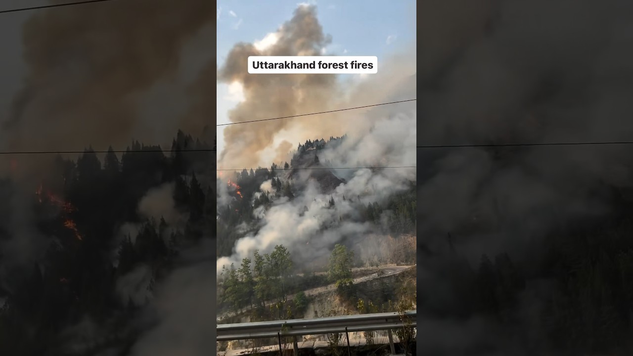 Uttarakhand forest fires #uttarakhand #forest #fire