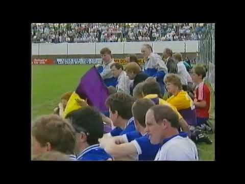 Laois v Wexford 1991 Leinster SHC
