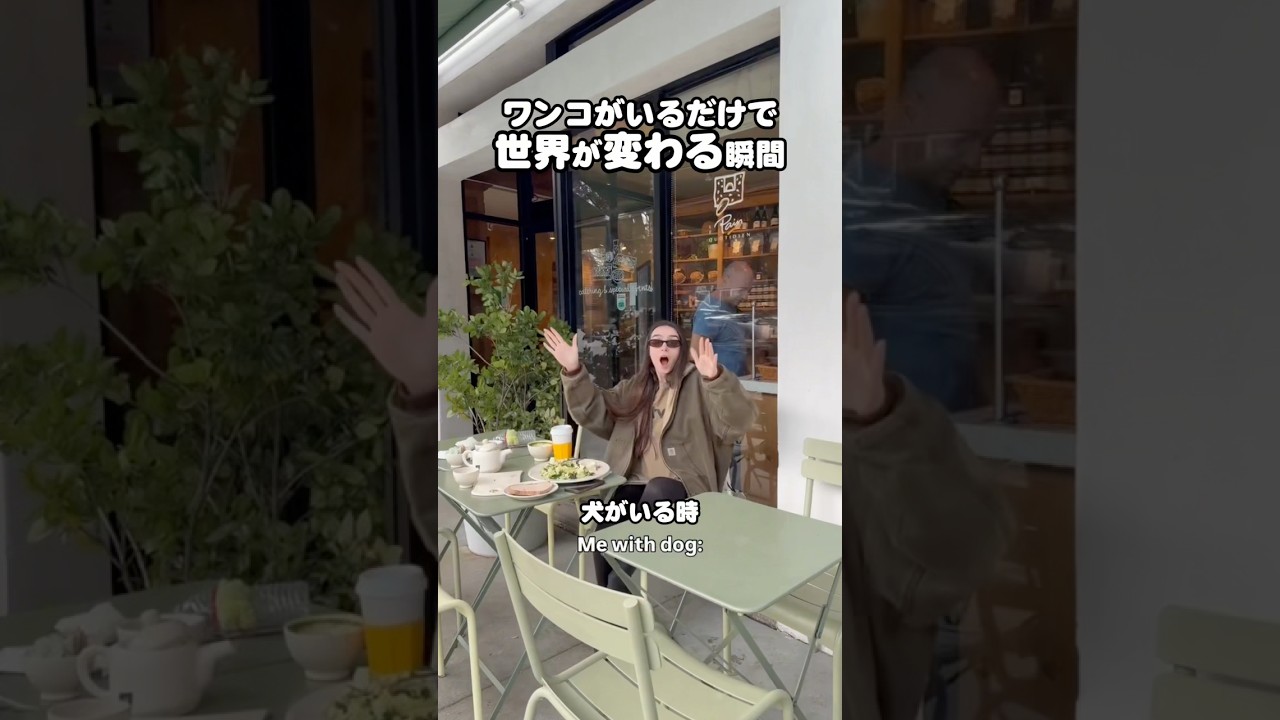 こんなに変わる！ #ロサンゼルス #海外ガール #海外生活 #わんこがいる暮らし #犬のいる暮らし