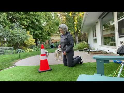 Zephyr week one foundations - cone, mat, spin