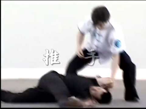 「単推手からの応用—- 擒拿 ・ 摔 ・ 打」（宮平保先生）