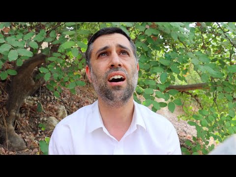Rosch Haschana Nusach - Maariv