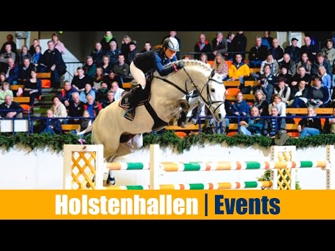 Holsteiner Hengstvorführung | Events im Überblick #03 | Holstenhallen Neumünster