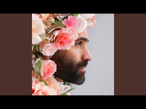 Dans mes bras (Lara Fabian Duo)