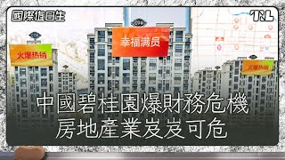 [問卦] 欸！碧桂園是不是打房最佳示範？