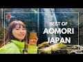 Come with me to Aomori - Japan's best kept Secret!